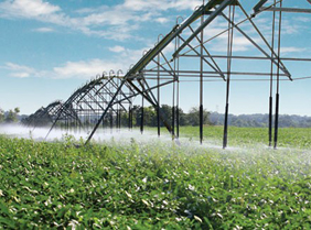 Smart Irrigation