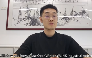 How to Setup OpenVPN Tunnel on WLINK 5G/4G Industrial Routers